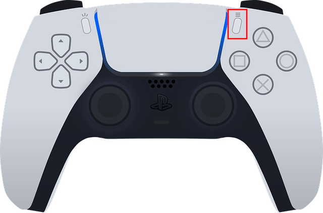 PS5 controller options button